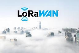 What types of devices does the LoRaWAN protocol support?